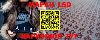 индика Нальчик