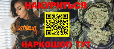 индика Нальчик