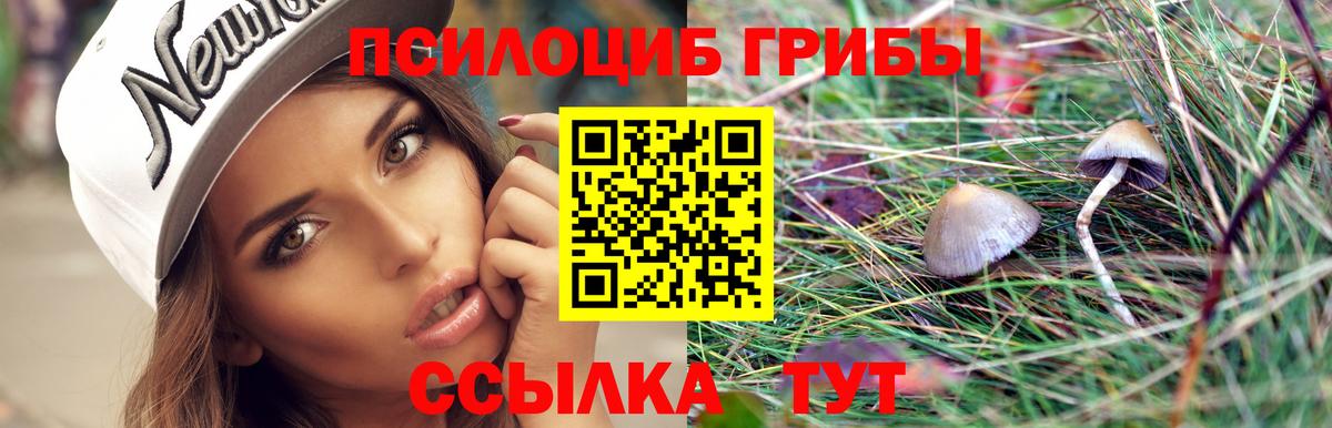 Псилоцибиновые грибы ЛСД Туймазы